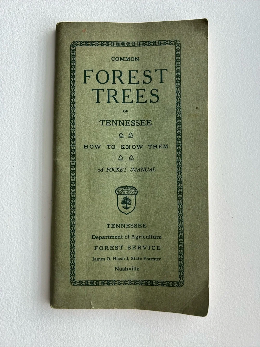 1933 Vintage Common Forest Trees of Tennessee Book 8th Ed Botany Forestry Guide